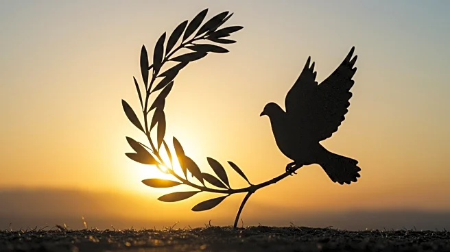 Druze Humanitarian Crisis and Syrian Sectarian Conflicts Persist