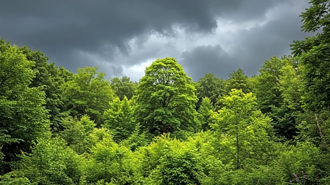 Human-Driven CO2 Emissions Threaten Sixth Mass Extinction