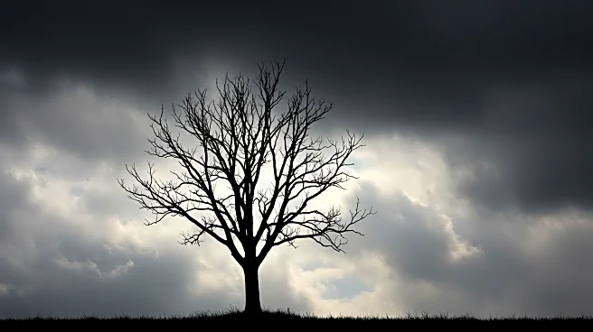 Ash Dieback Threatens UK's Net-Zero Plans with Triple Impact