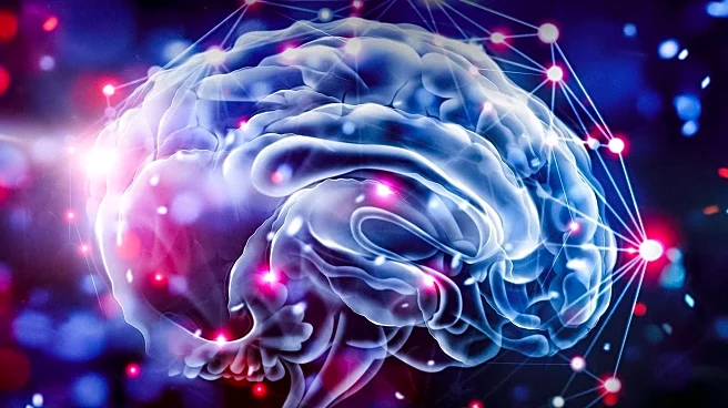 Study Challenges Brain Reorganization Theory Post-Amputation, Impacts Phantom Limb Pain Treatment