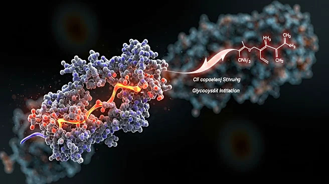 APC/C Inactivation Linked to Glycolysis Initiation in Cell Cycle
