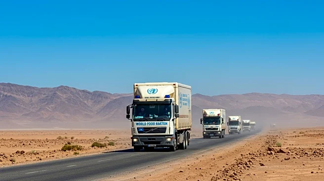 Sudan Army Denies Bombing World Food Programme Convoy in Darfur