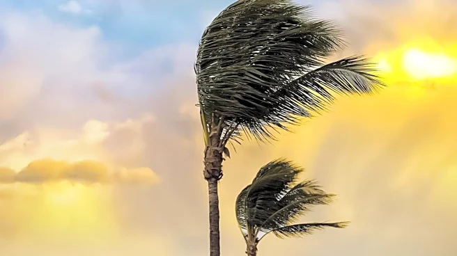South Florida Weather Forecast: Persistent Heat with Scattered Showers Expected