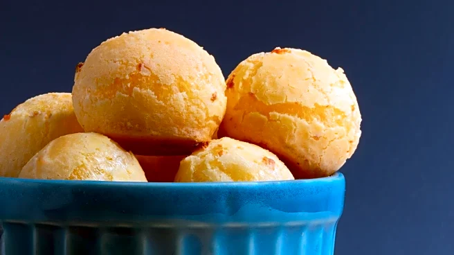 Rescue Operation Saves Stray Dog 'Dallas Cheddar' from Cheese Ball Bucket in Pennsylvania