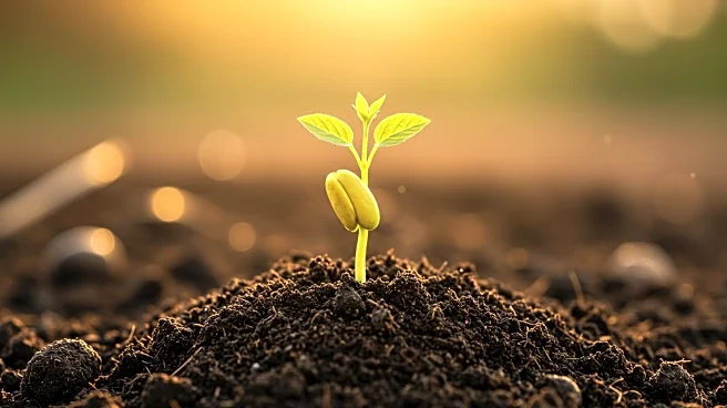Rich Products Ventures Emphasizes Long-Term Investment Strategy in Food Industry