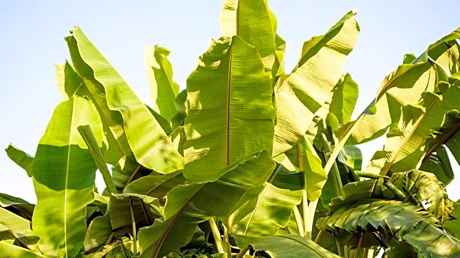 Jal Dhara Event to Support Sustainable Agriculture for Tribals in Palghar
