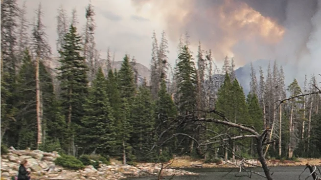 Colorado Couple Transforms Loss into Art Following Marshall Fire, Aiding Community Healing