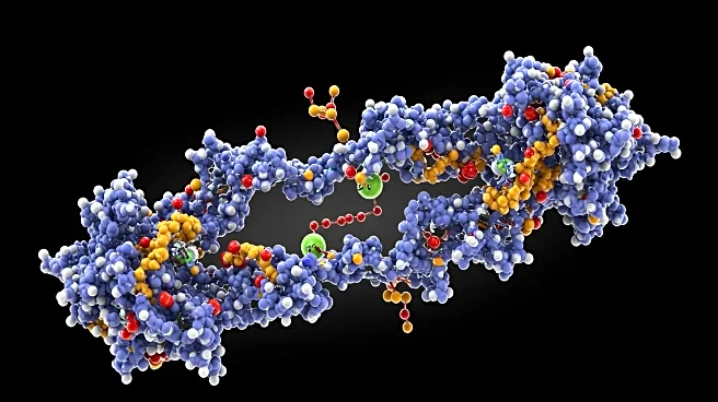 Research Uncovers Mechanism for Cell Cycle Entry via APC/C Regulation