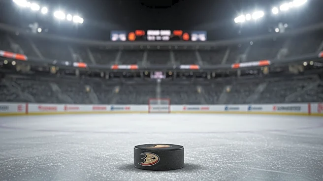 Anaheim Ducks Announce 2025-26 Promotional Schedule with 23 Giveaway Nights