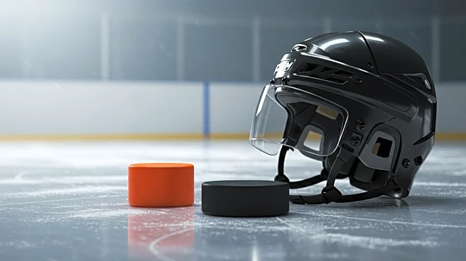 Anaheim Ducks Announce 2025-26 Promotional Schedule with Exciting Giveaways