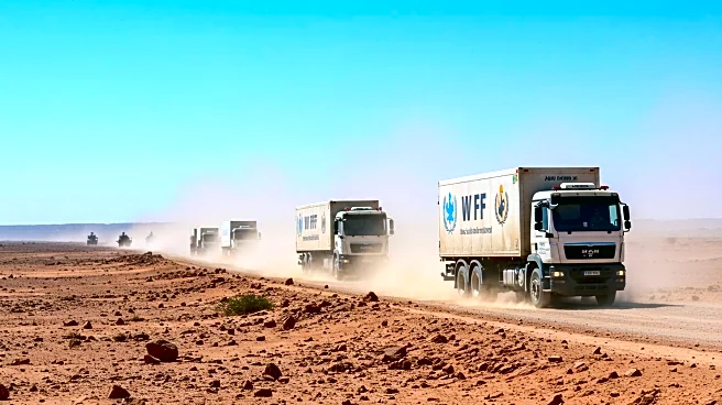 Sudan Army Denies Bombing WFP Convoy Amid Ongoing Conflict in Darfur