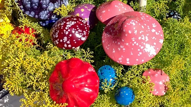 Flower Fest Returns to Mount Washington with Art and Cuisine