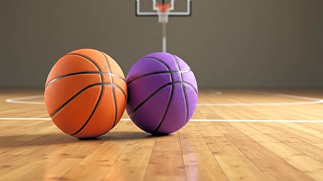 WNBA Sets New Attendance Record in 2025 Season