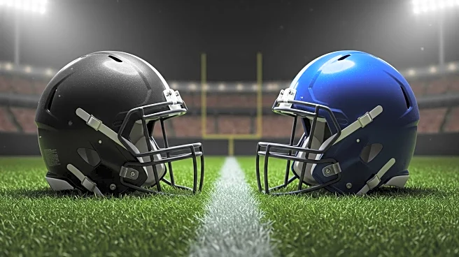 Carolina Panthers Players Fight for Roster Spots in Preseason Finale