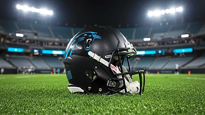 Panthers Rookie Princely Umanmielen Receives Criticism for Performance Against Texans