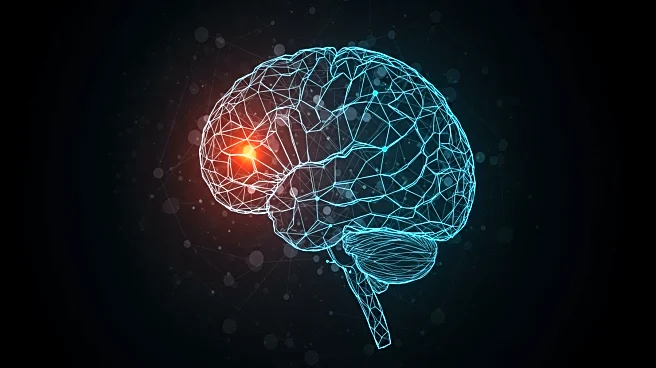 Study Reveals Stability in Brain's Body Map Post-Amputation