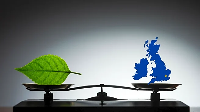 European Union Enhances Environmental Protections, UK Faces Divergence Post-Brexit