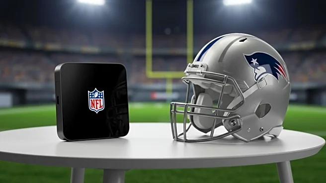 Steelers vs. Panthers: NFL Preseason Game Streaming Details