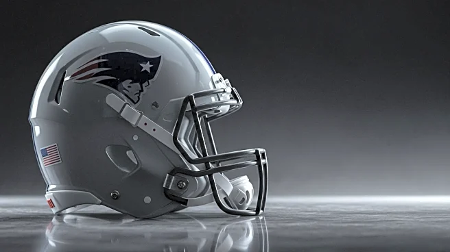 Patriots Wide Receiver Ja'Lynn Polk to Miss 2025 Season Due to Shoulder Injury