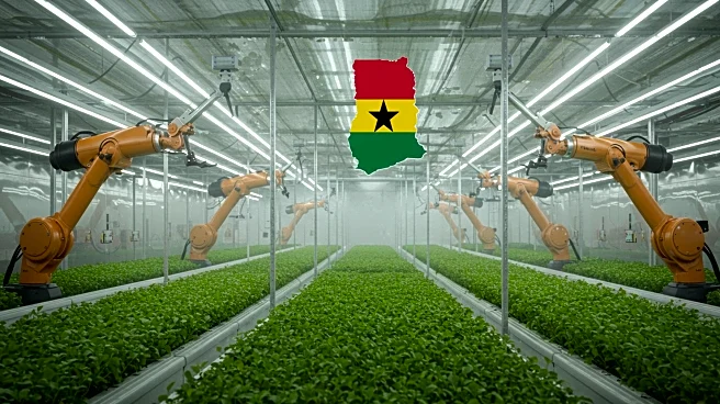 Japan's Degas Limited Invests $100 Million in AI-Driven Agriculture in Ghana