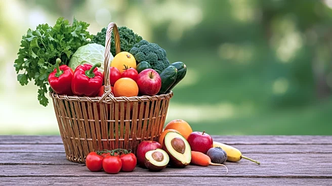 FAO and Nigerian Government Launch 2025 Food and Agriculture Policy Monitoring Review