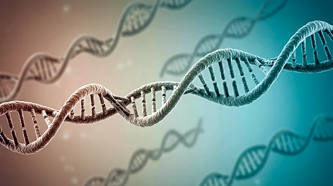Study Suggests Earlier Interbreeding Between Humans and Neanderthals