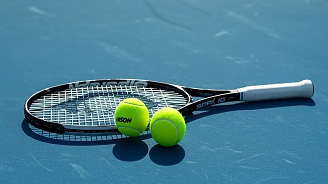Carlos Alcaraz and Novak Djokovic in Same Half of US Open Draw, Sinner Faces Kopriva
