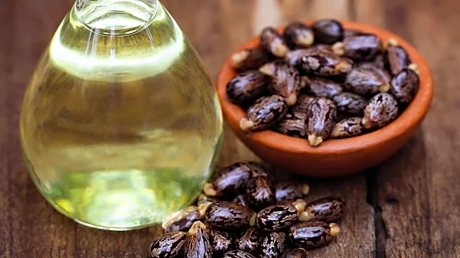 Doctors Debunk Castor Oil's Effectiveness in Reducing Bloating