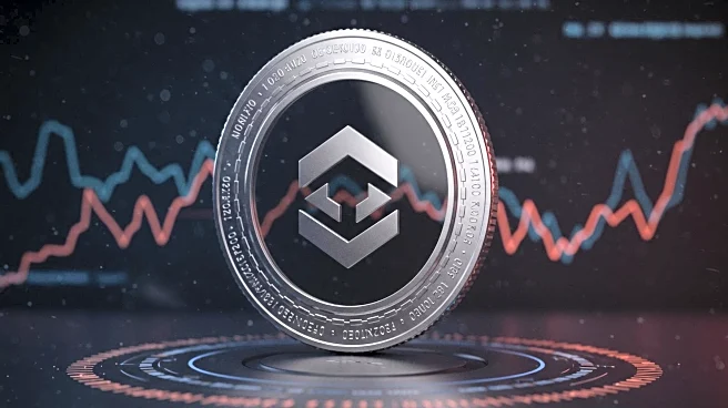 Celebrity-Driven Crypto Tokens: YZY's Rise and Fall Highlights Insider Risks