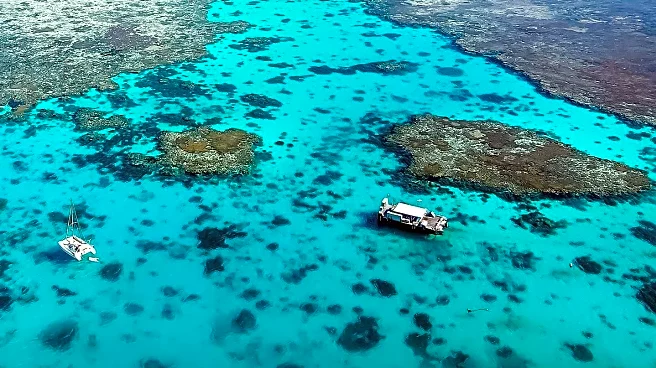 Reef Unlimited Launches Two Island Explorer Tour for Great Barrier Reef Experience