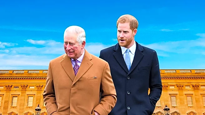 Former Royal Butler Discusses Rift Between Prince William and Prince Harry
