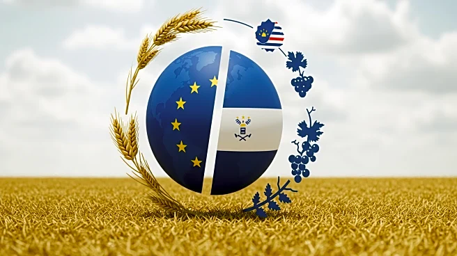 Macron and Lula Push for EU-Mercosur Trade Agreement Amid French Agricultural Concerns