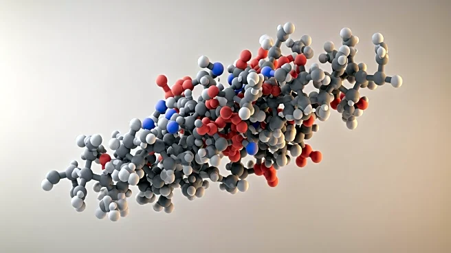 Unique Human Enzyme ADSL May Have Contributed to Evolutionary Success