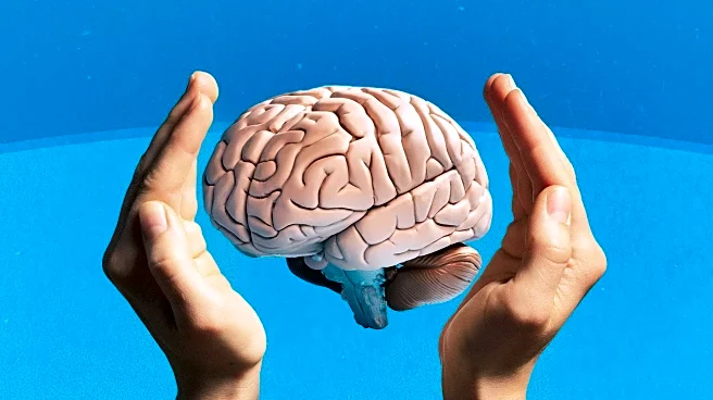 Research Identifies Omega-3 Deficiency as Potential Factor in Women's Alzheimer's Risk