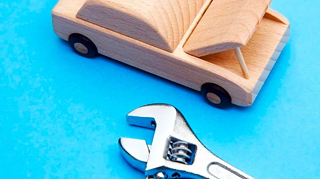 Mechanics Share Unusual Discoveries in Customer Vehicles, Highlighting Service Challenges