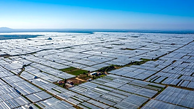 NASA Identifies Almería's Greenhouses as Most Visible Human Structure from Space