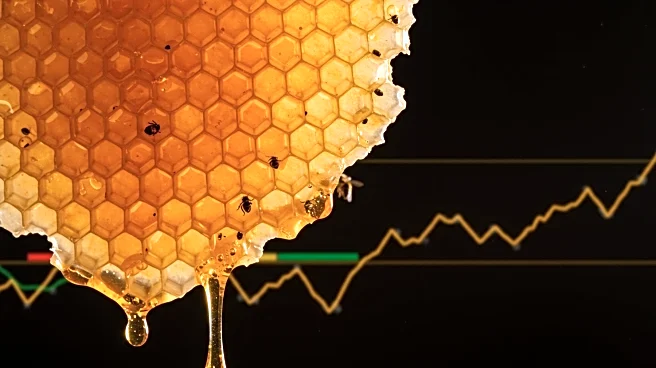 Scientists Warn of Honeybee Behavior Changes Amid Rising Temperatures, Threatening Food Supply