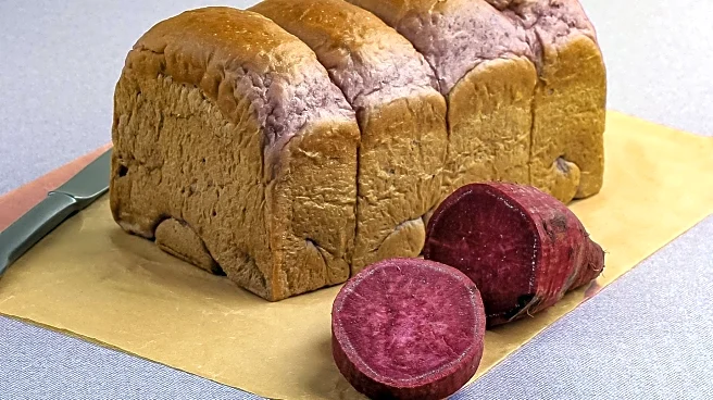 Investigation Reveals Concerns Over Ultra-Processed Foods in Diets
