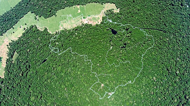 NASA Observes Land Use Changes in Pará, Brazil, Highlighting Human Impact