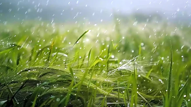 Wet Weather Pattern to Persist in South Florida, Affecting Daily Life