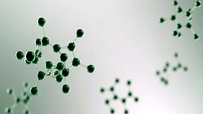 Saudi Arabia's Biodegradable Plastic Market Set for Significant Growth Driven by Sustainability Goals
