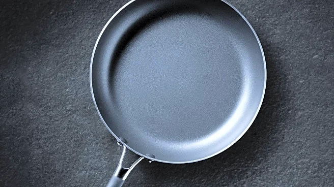 Tramontina Nonstick Pan Gains Popularity for Quality and Affordability