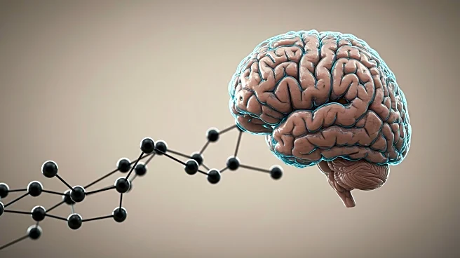 Graphene Technology Advances Brain Organoid Research at UC San Diego