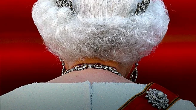 Queen Camilla Faces Wasp Infestation Amid King Charles' Health Concerns