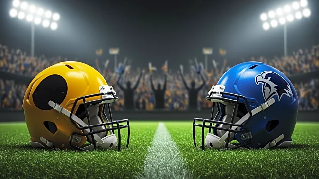 KDKA-TV Analyzes Steelers-Panthers Preseason Game Impact on Fans