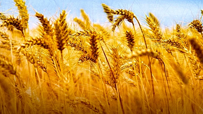 Lakehead Harvest Show Celebrates Agricultural History with Family Activities