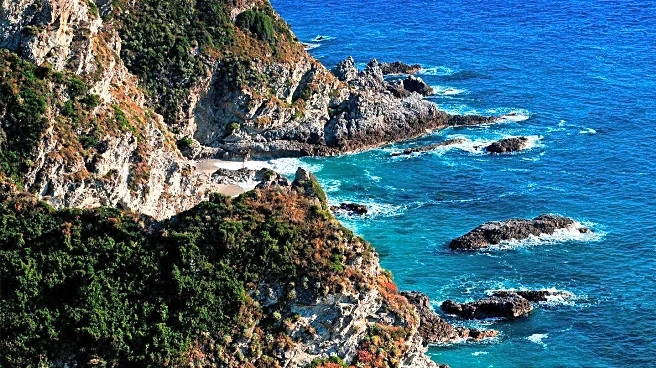 Venomous Blue Dragons Prompt Beach Closures in Spain