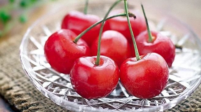 Research Highlights Cherry Powder's Potential in Alzheimer's Prevention