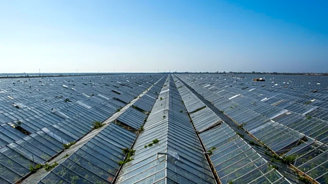 Almería's Greenhouses: The Most Visible Human Structure from Space