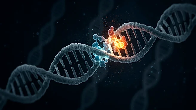 Research Suggests Unique Enzyme in Modern Humans Contributed to Evolutionary Success